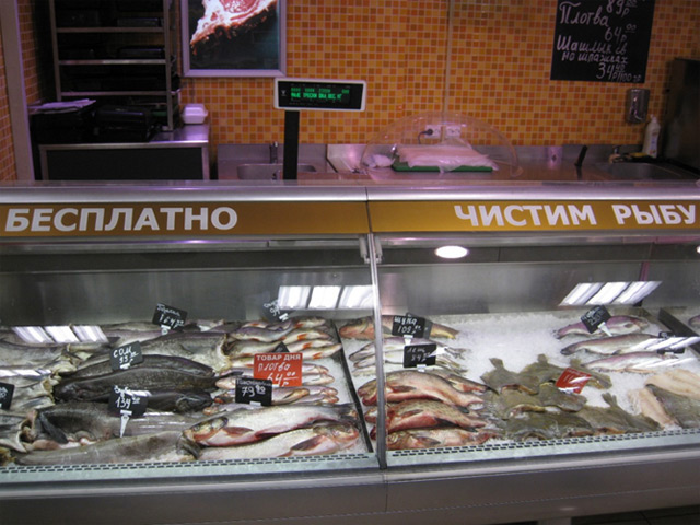 Выкладка рыбы на витрине в магазине фото профессиональная красивая